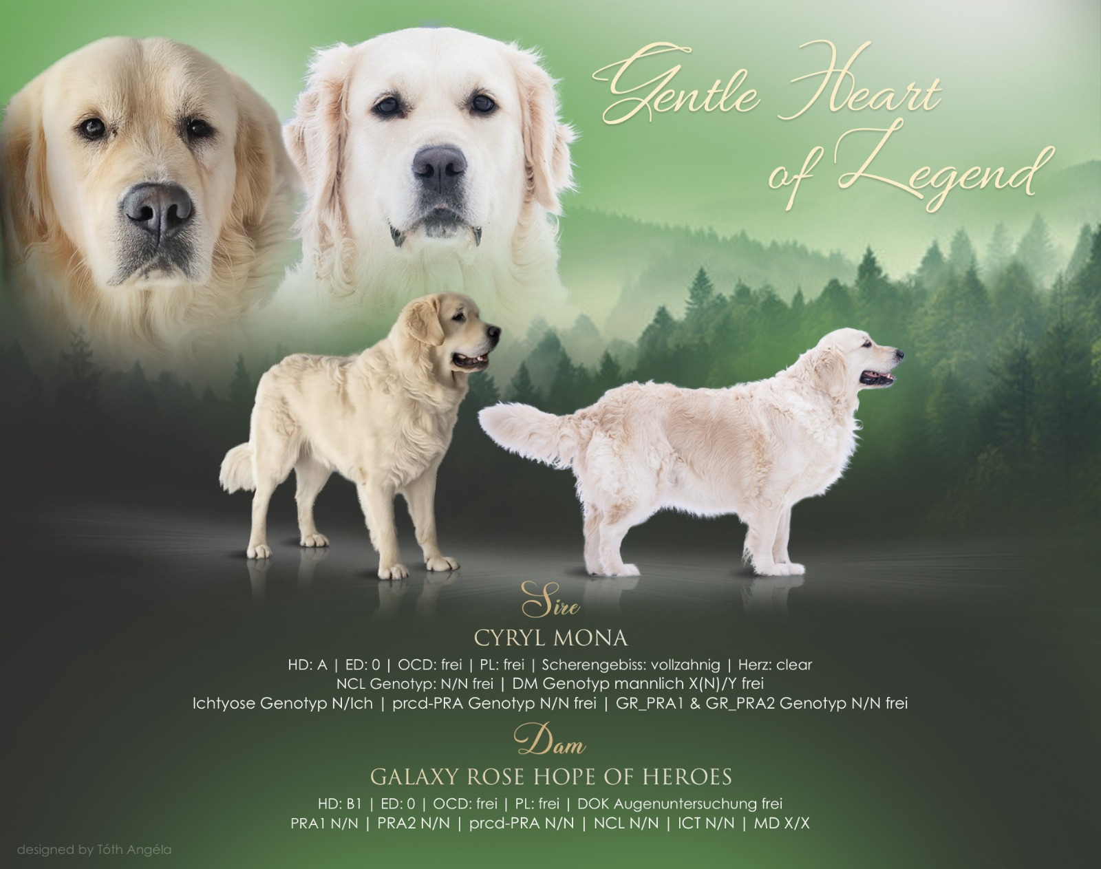 WhatsApp Image 2026-04-10 at 21.46.05.jpeg